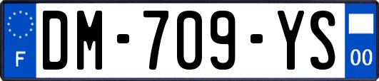 DM-709-YS