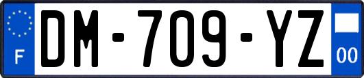 DM-709-YZ