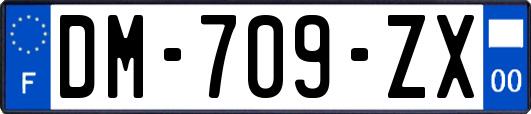 DM-709-ZX