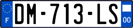 DM-713-LS