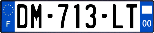 DM-713-LT