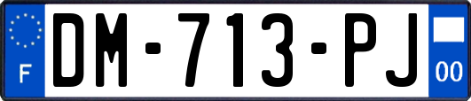 DM-713-PJ