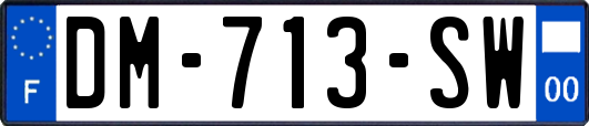 DM-713-SW