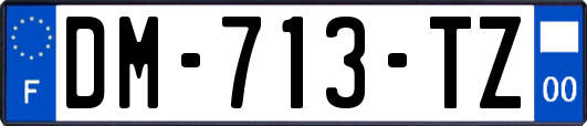 DM-713-TZ