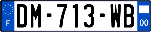 DM-713-WB