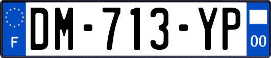 DM-713-YP