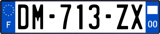 DM-713-ZX