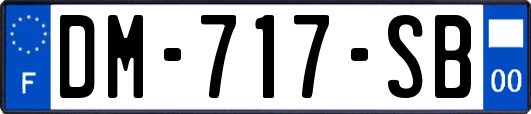 DM-717-SB