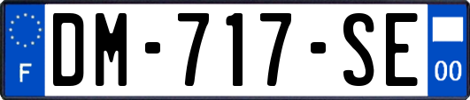 DM-717-SE