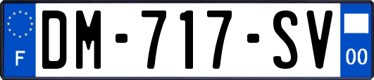 DM-717-SV