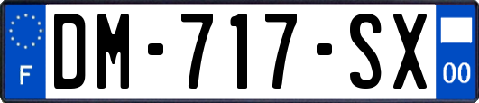 DM-717-SX