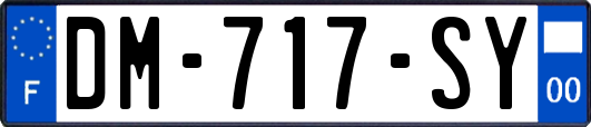 DM-717-SY