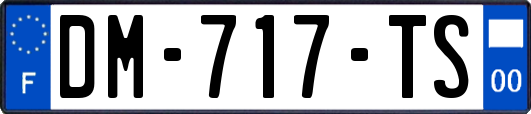 DM-717-TS