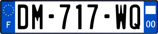 DM-717-WQ