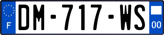 DM-717-WS