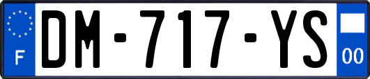 DM-717-YS