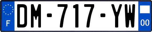 DM-717-YW