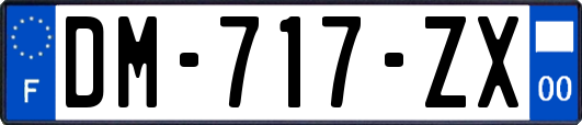 DM-717-ZX