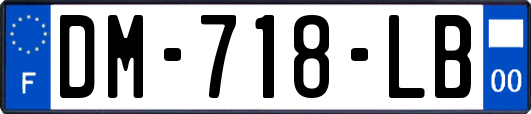DM-718-LB