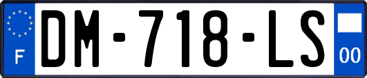 DM-718-LS