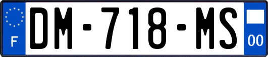 DM-718-MS