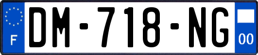 DM-718-NG