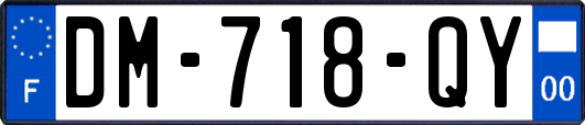 DM-718-QY