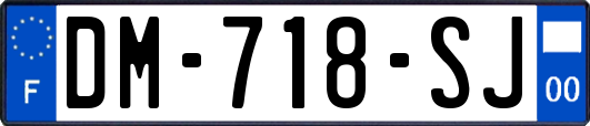 DM-718-SJ