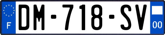 DM-718-SV