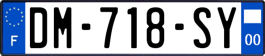 DM-718-SY