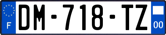 DM-718-TZ