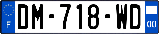 DM-718-WD