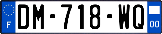 DM-718-WQ