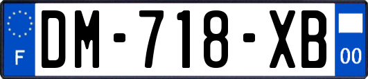 DM-718-XB