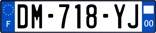 DM-718-YJ