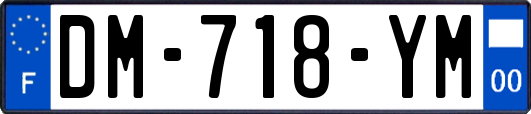 DM-718-YM