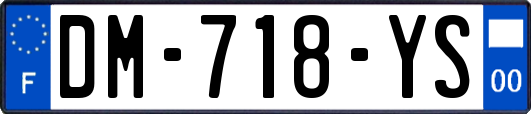 DM-718-YS