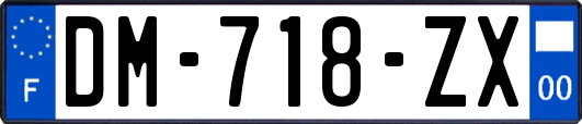 DM-718-ZX