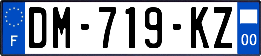 DM-719-KZ