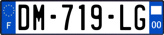 DM-719-LG