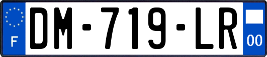 DM-719-LR