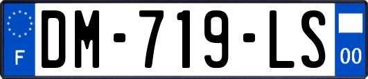 DM-719-LS
