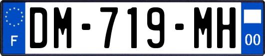 DM-719-MH