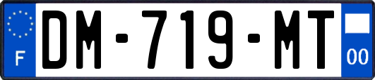 DM-719-MT