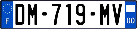 DM-719-MV