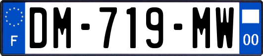 DM-719-MW