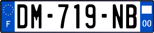 DM-719-NB