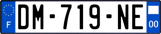 DM-719-NE