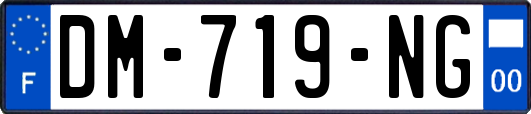 DM-719-NG
