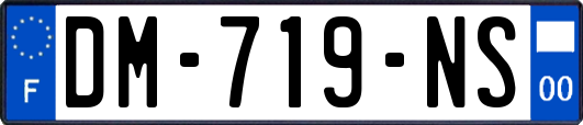 DM-719-NS